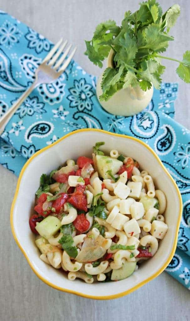 pasta salad with roasted pepper, caramelized onion, cucumber, cilantro and cheese pasta salad with roasted pepper, caramelized onion, cucumber, cilantro and cheese